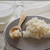 دانه کفیر، قارچ کامبوجا|خوردنی و آشامیدنی|قائم‌شهر, |دیوار