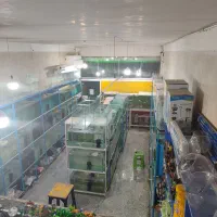 واگذاری آکواریوم و ماهی فروشی