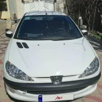 ۲۰۶ صندقدار(SD)