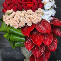 نیرو کار گل آرا در گلفروشی