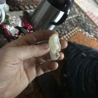 سنگ قیمتی|کلکسیون اشیاء عتیقه|جلفا, |دیوار