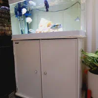 آکواریوم شیشه خم