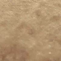 موکت پرزدار نسترن