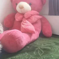 خرس خارجی