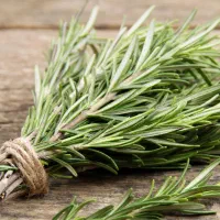 نیازمند نیروی کار خانم