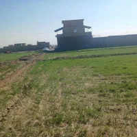 زمین مناسب جهت دامداری