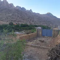 زمین باغی گل افشان