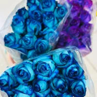 گلجهتحجاجوکربلاییهایعزیز|گل مصنوعی|بیرجند, |دیوار