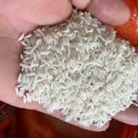 فروش برنج
