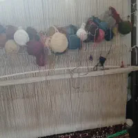 فروشی به علت مشکلات|فرش|شهرکرد, |دیوار