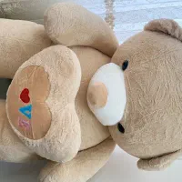 خرس|اسباب‌‌بازی|سبزوار, هویزه|دیوار