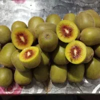 کیوی فروشی|خوردنی و آشامیدنی|رشت, جماران|دیوار