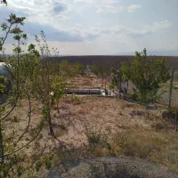 باغ 500متری جاده ترک سه کیلومتری شهر|فروش خانه و ویلا|میانه, |دیوار