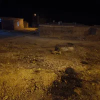 زمین مارگون|فروش زمین و ملک کلنگی|مارگون, |دیوار