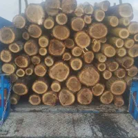 خرید انواع چوب به بالا ترین قیمت و تسویه درب محل