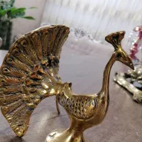 طاووس برنز