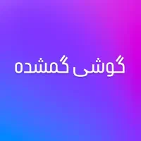 گوشی گمشده