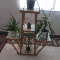 زیر گلدانی|گل و گیاه طبیعی|اسلام‌‌آباد غرب, |دیوار