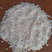 برنج زعفرانی طارم هاشمی محصول امسال