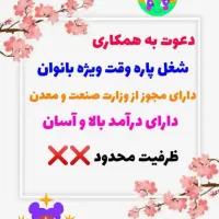 بانو جان بدون درد سر داخل منزل درآمد داشته باشید|استخدام بازاریابی و فروش|تهران, یوسف‌آباد|دیوار