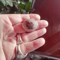 انگشتر شجر کلکسیونی