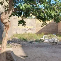زمین ۸۵متری|فروش زمین و ملک کلنگی|مشهد, علی آباد|دیوار