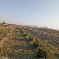 یونجه پرس کیلویی ۲۱۰۰۰ مقطوع