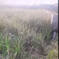 زمین شهرک احمد خمینی