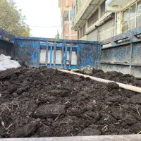 کود پهین گاوی|خدمات باغبانی و درختکاری|لیسار, |دیوار