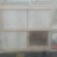 جفت کن کبوتر|لوازم جانبی حیوانات|خوی, |دیوار