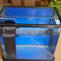 آکواریم و تصفیه و اکسیژن آب|ماهی|تهران, جیحون|دیوار