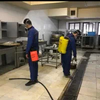 سمپاشی تخصصی سوسک ساس موش%100تضمینی کل مناطق تهران