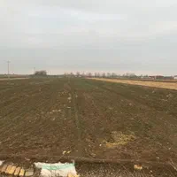 فروش ۱ هکتار درشیدان