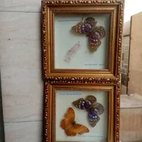 تابلو پروانه طبیعی کلکسیونی