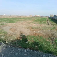 زمین باغی و دامداری