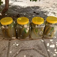 خیار شور تازه و امسال