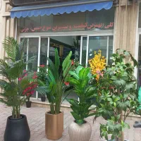 درختچه مصنوعی|گل مصنوعی|گرگان, |دیوار