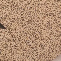 لوبیا چشم بلبلی درجه یک