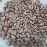 لوبیا چیتی (خوراک)