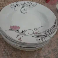 شش عدد چینی طرح گل