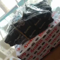 لنت جلو  نیسان وانت