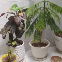 تعدادی وسایل با قیمت بسیار مناسب