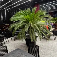 سالندار، پارکبان، نظافتچی، مسوول خرید