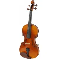 ویولن آلمانی پزولد