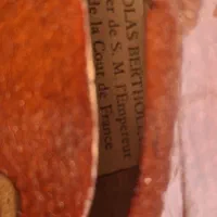 ویولن اروپایی