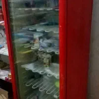فلیزر ایستاده