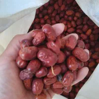عناب امسالی وخشک.مفت کیلو۸۰تومن|خوردنی و آشامیدنی|مشهد, نکاح|دیوار