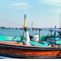 احداث سردخانه ماهی ومیگو