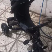 سه چرخه مارک دلیجان سایه بان دار و کمربند