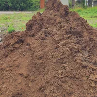 خدمات فروش و حمل شن و ماسه.نخاله. بلوک. بندرانزلی|خدمات حمل و نقل|بندر انزلی, کارآموزی|دیوار